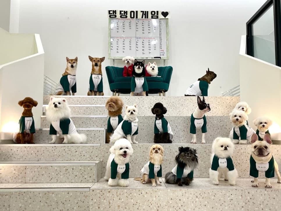 브이케어 센텀 운영 및 문화 행사 기획 갤러리 2