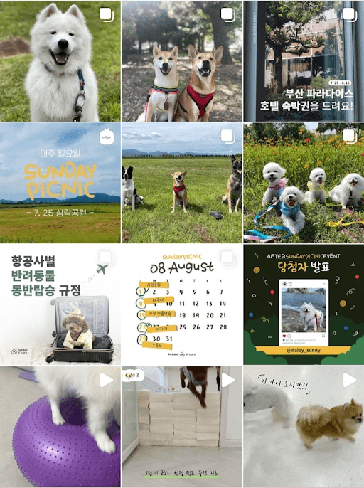 브이케어 센텀 운영 및 문화 행사 기획 갤러리 4