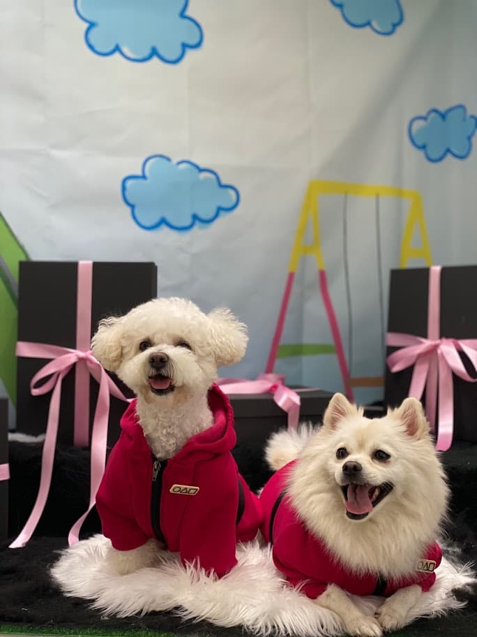 브이케어 센텀 운영 및 문화 행사 기획