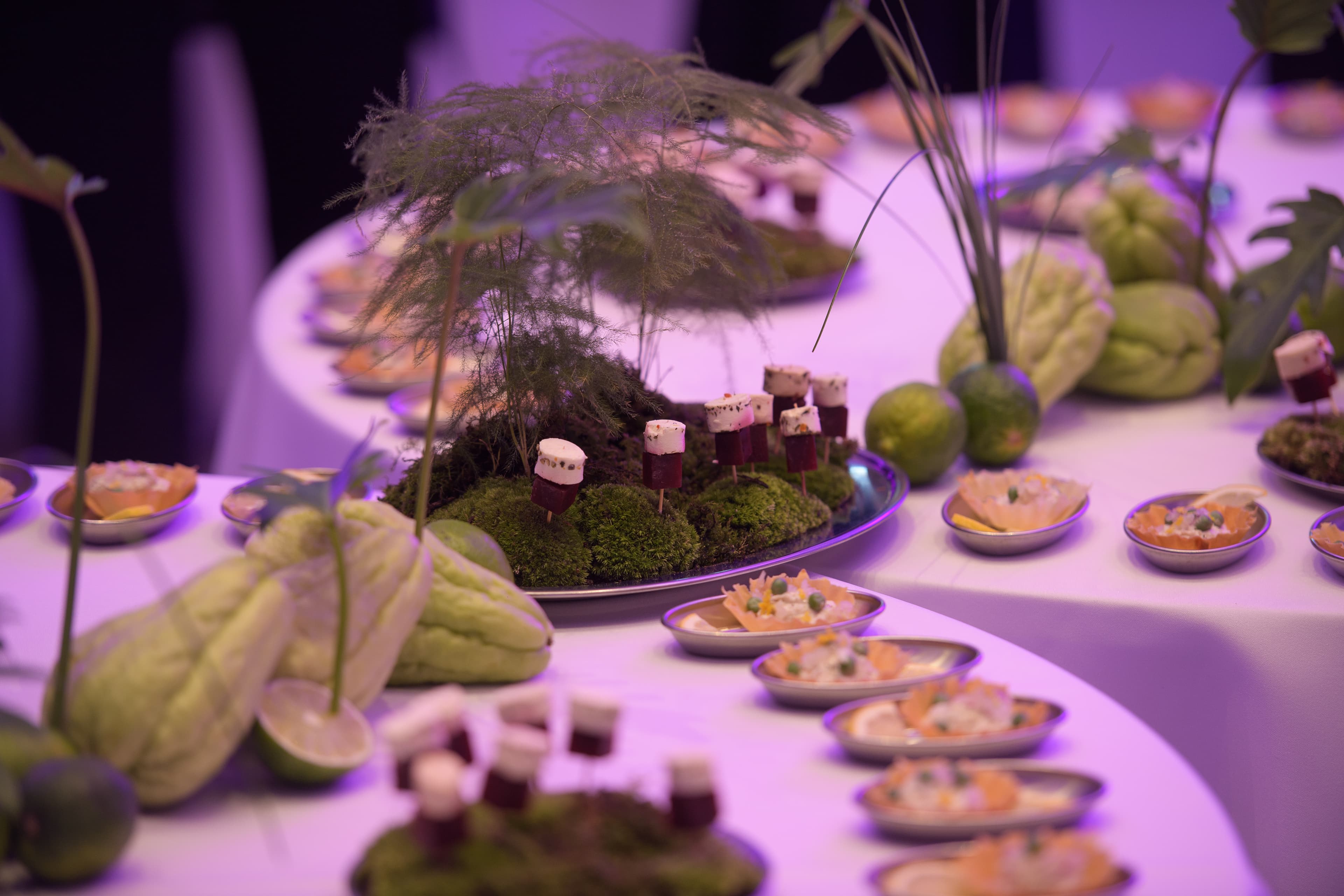 부산 MICE 앰버서더의 밤 갤러리 6